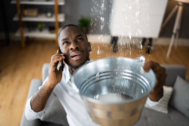 Best Commercial water damage restoration  in Seyur, MO