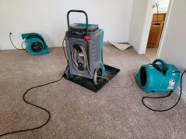Best Water damage contractors near me  in Seyur, MO
