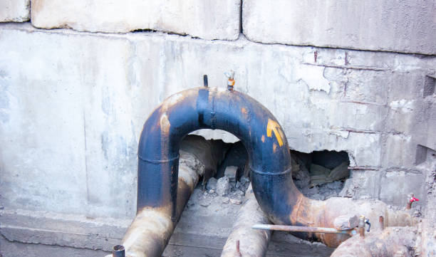 Best Carpet water damage restoration  in Seyur, MO