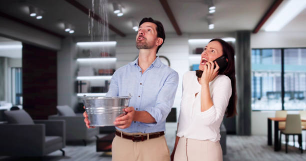 Best Professional water damage repair  in Seyur, MO