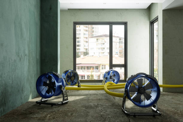 Best Water damage restoration insurance claims  in Seyur, MO